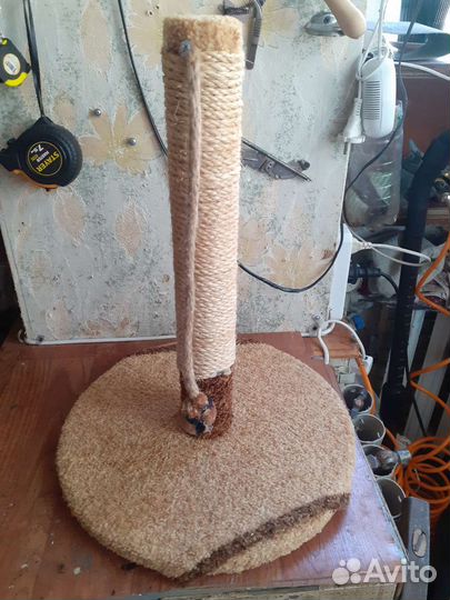 Когтеточка