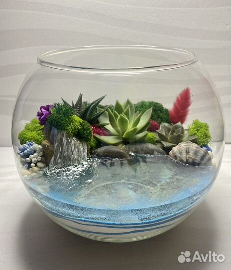 Флорариум из суккулентов