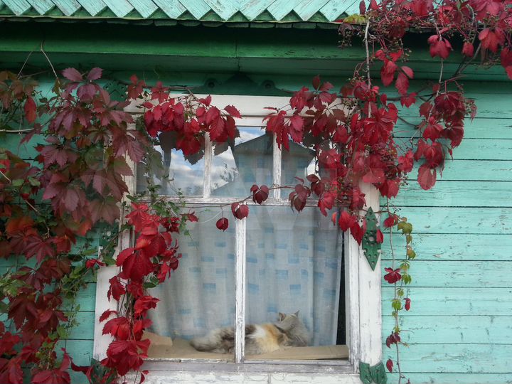 Участок 4,5 сот. (СНТ, ДНП)