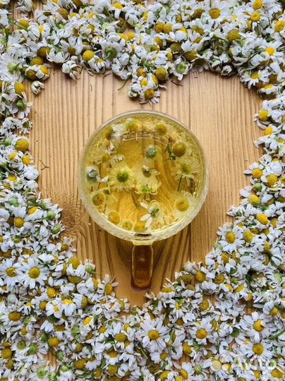 Ромашка сушеная