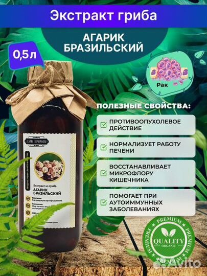 Агарик бразильский