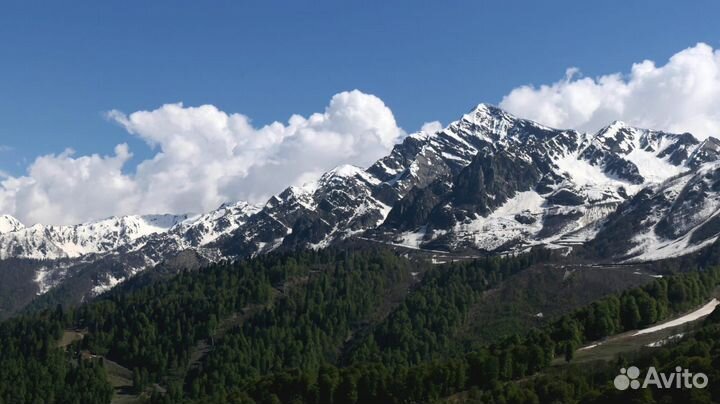 Экскурсия в Красную Поляну, Роза Хутор, Обзорная