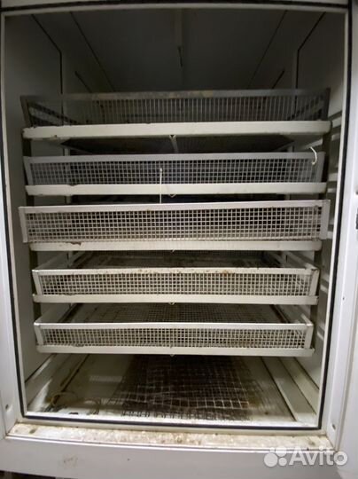 Инкубатор для яиц автоматический бу