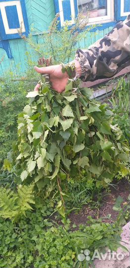 Веники для бани