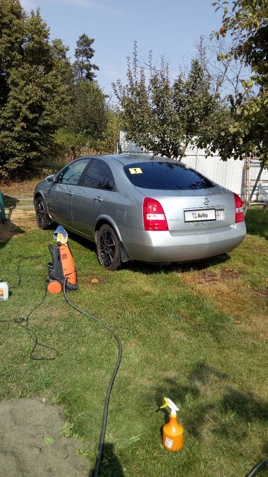 Nissan Primera: фото владельца
