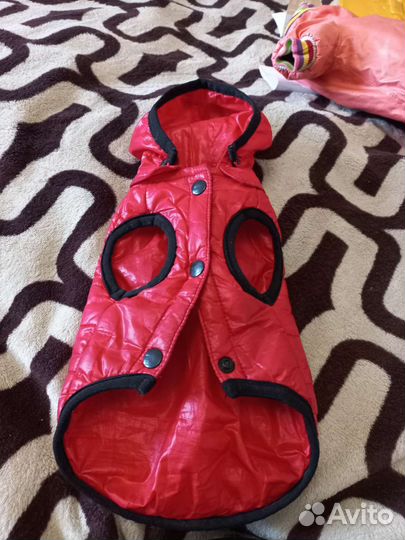 Одежда для собак,S