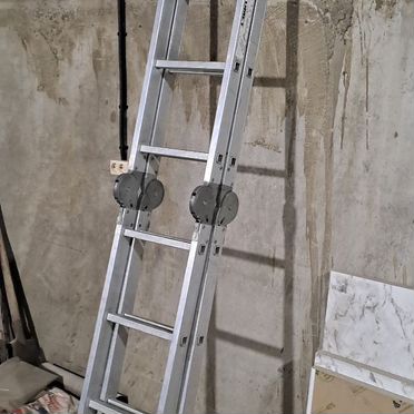 Азавак, взрослый пёс