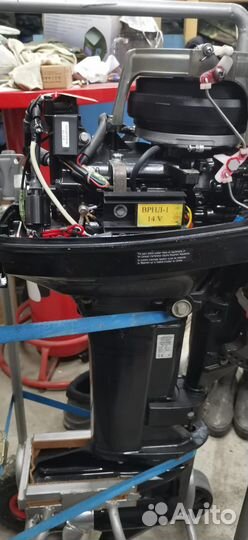 Моторная Лодка ProfmarinePM340 с мотором Mercury15