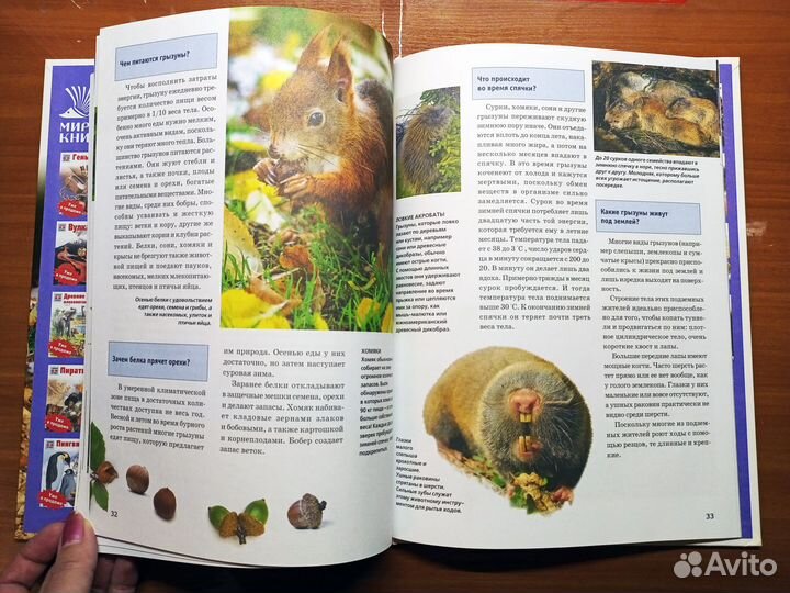 Энциклопедия. Зачем и Почему. Хомяки, бобры и друг