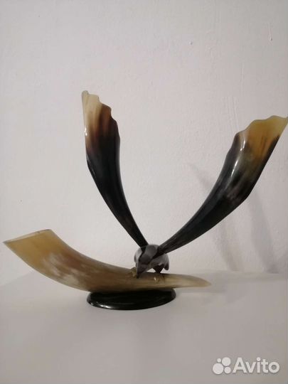 Рог Изобилия Орел