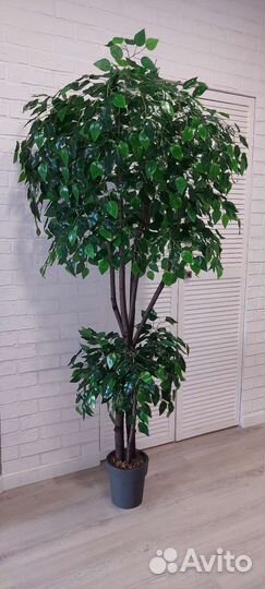 Искусственное дерево фикус