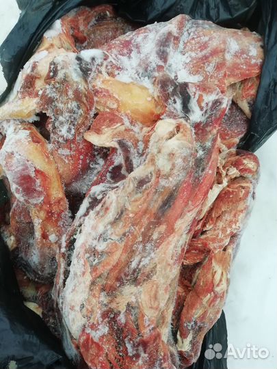 Мясо говядина для собак