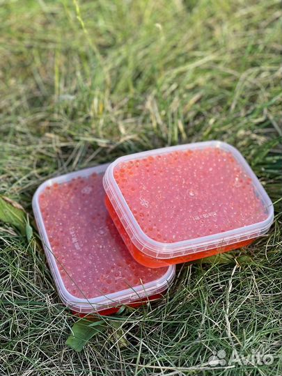 Красная икра