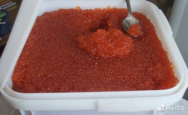 Красная икра 2023