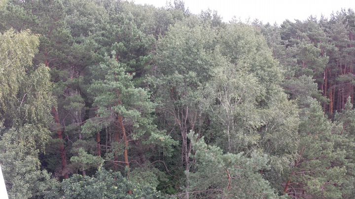 1-к. квартира, 39 м², 8/9 эт.