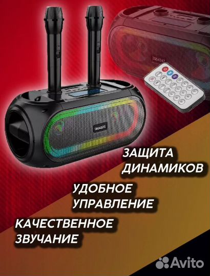 Караоке система беспроводная 20W (2 микрофона)