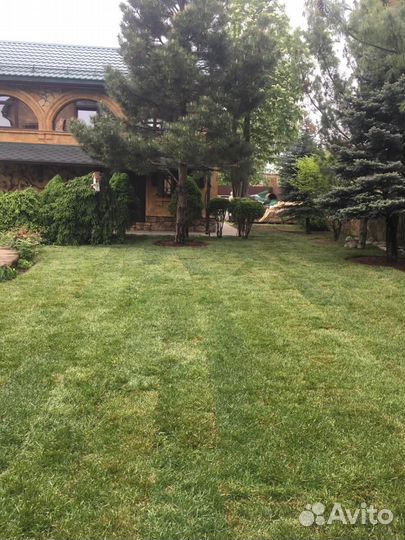 Рулонные газоны