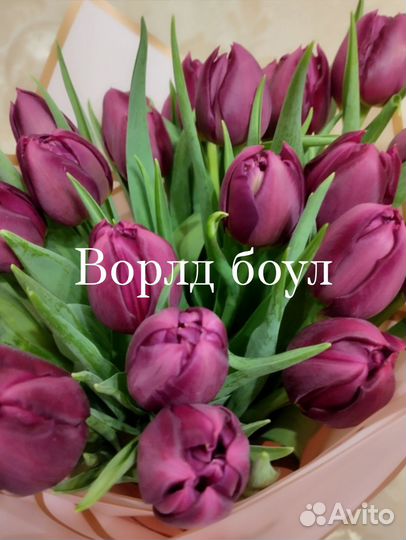 Тюльпаны к 8 марта 2024 г оптом