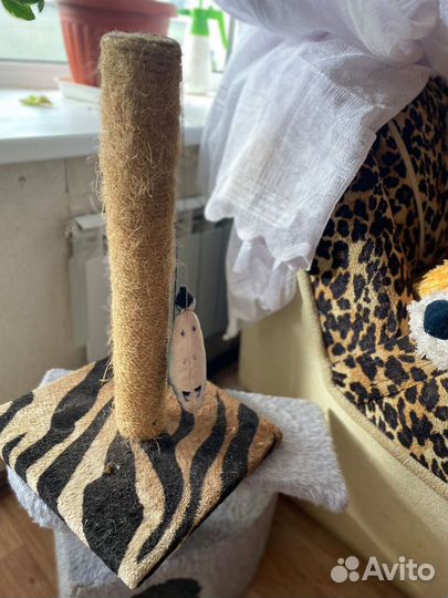 Когтеточка для кошек бу