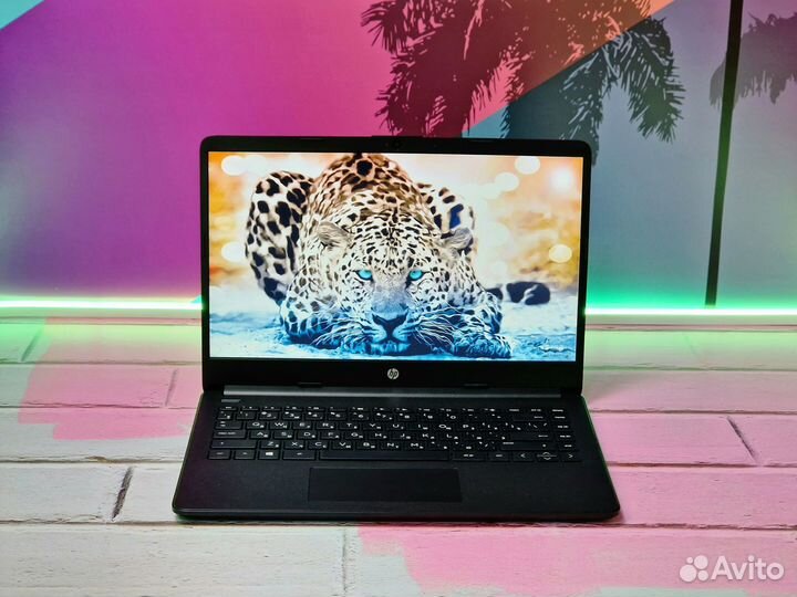 Ноутбук HP Athlon 3020e SSD 128Gb 14