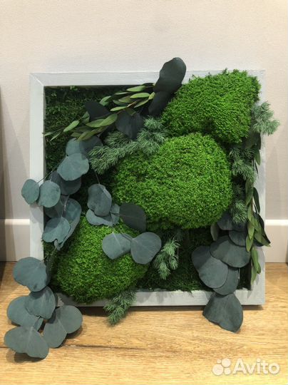 Интерьерная картина натуральный мох