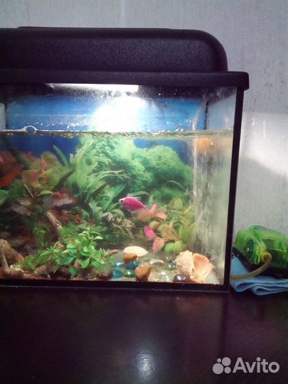 Аквариум