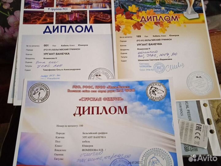 Гриффон на вязку