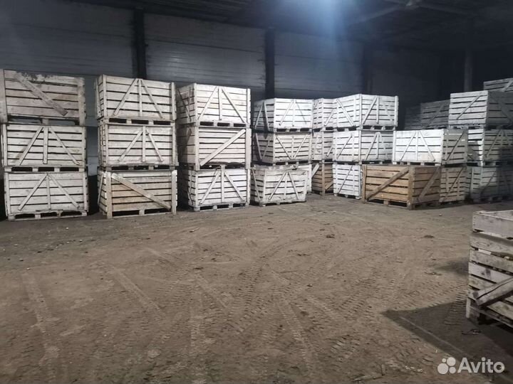 Фермерское картофелеводческое хозяйство