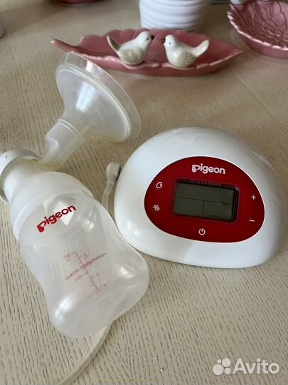 Молокоотсос электрический pigeon