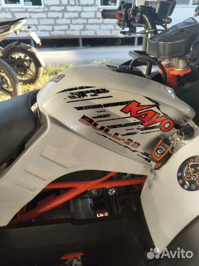 Продам Kayo Bull 2B (небольшой торг) пишите