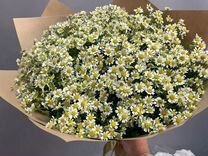 Цветы Букет Ромашек букет хризантем 5 15 25