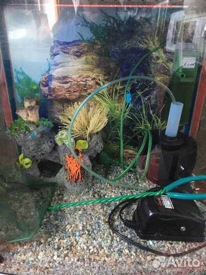 Аквариум Готовый Укомплектованный Аквариум