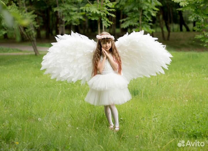Крылья Ангела аренда