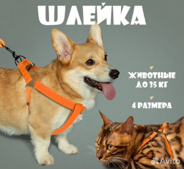 Шлейка для небольшой собаки