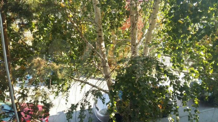 Комната 17,8 м² в 1-к., 2/5 эт.