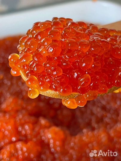 Красная икра горбуши