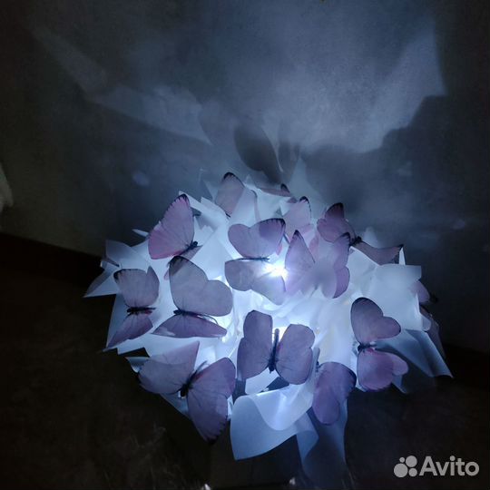 Бабочки в коробке