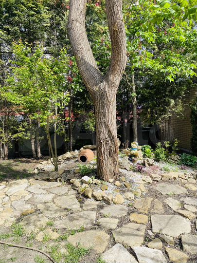 Дом 900 м² на участке 10 сот.