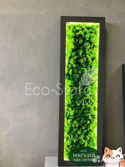 Панно из мха на подарок