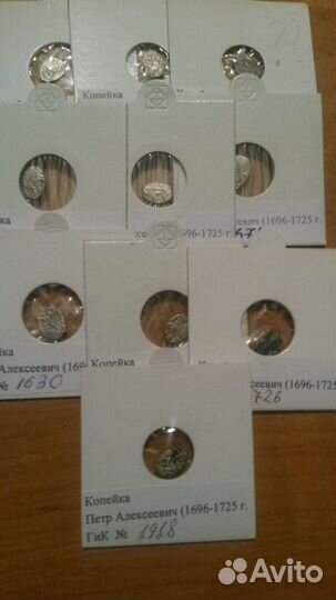 Чешуя Петра Алексеевича в холдерах 10шт