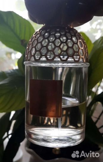 Туалетная вода Мандарин и Базилик