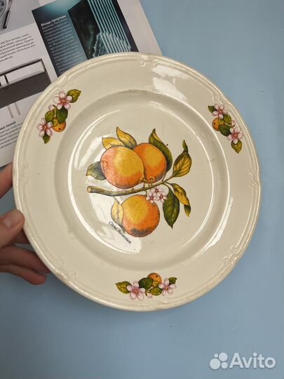 Тарелка зик конаково редкая