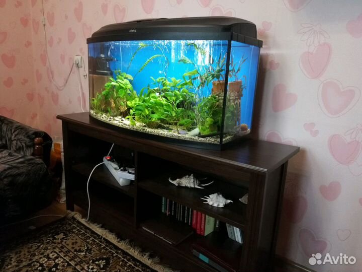 Обслуживание аквариумов и прудов