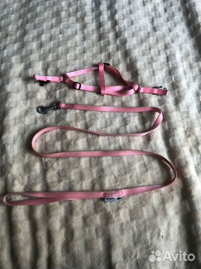 Поводок для собаки