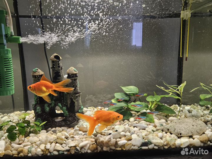 Аквариум с крышкой 50л