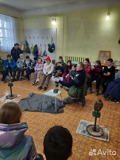 Хищные птицы