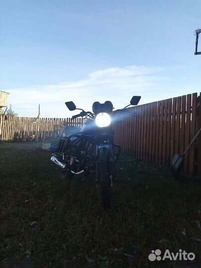 Альфа Андес