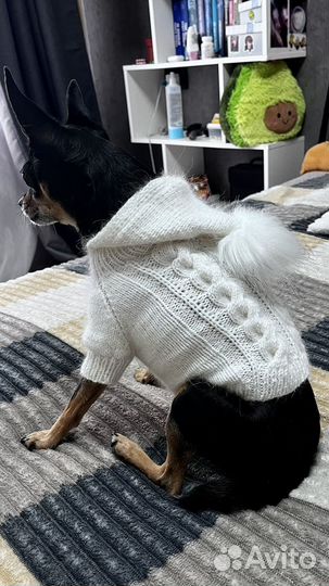 Одежда для собак