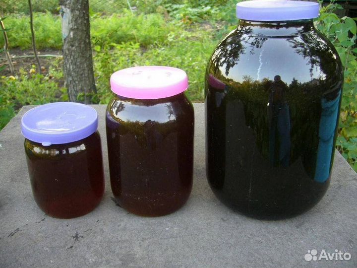 Мед Гречишный 2024