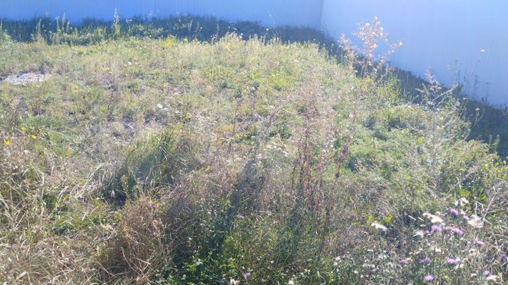 Дом 28 м² на участке 30 сот.